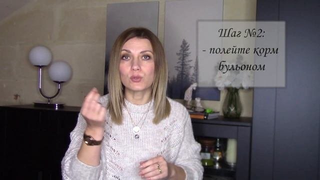 Переборчивость в еде / Психология поведения собаки