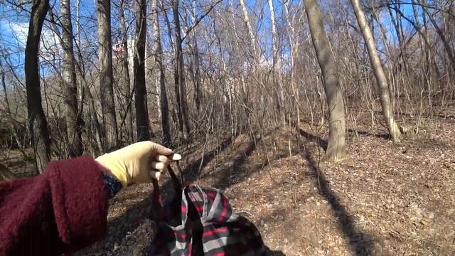 Апрельская прогулка..