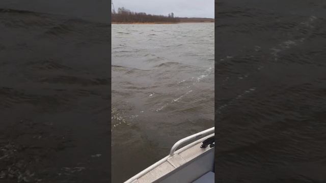 GPS якорь Sea -pro 65lb электромотор работа при сильном ветре.