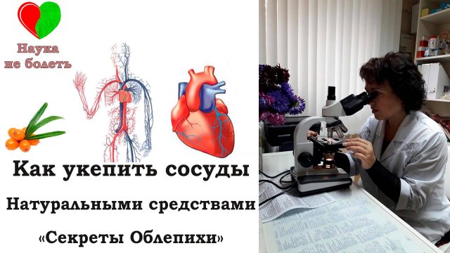 КАК УКРЕПИТЬ СОСУДЫ - - СЕКРЕТЫ ОБЛЕПИХИ - - ЛЕЧЕНИЕ ВАРИКОЗА НАРОДНЫМИ МЕТОДАМИ