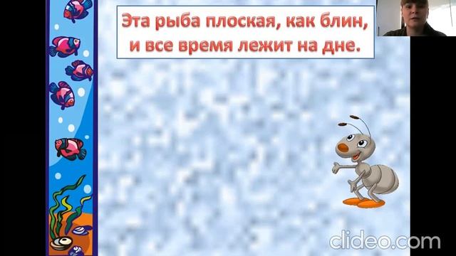 Рыбы и их различия Кто такие рыбы? 1 класс