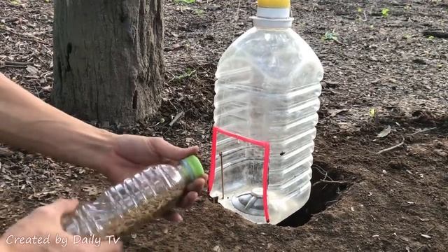 Как создать легкую ловушку для птиц, используя большую пластиковую бутылку?