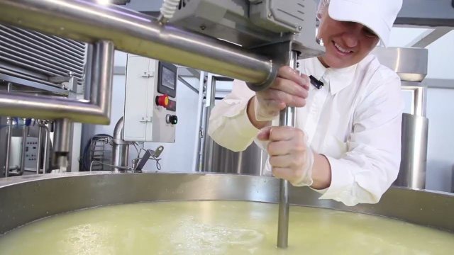 Производство сыра в сыроварне CASARO