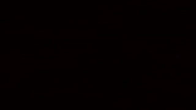 VID_20240825_193331.mp4