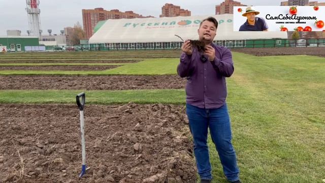 КАК СОХРАНИТЬ САЖЕНЦЫ ДО ВЕСНЫ? ЧТО ТАКОЕ ПРИКОП? КАК ПРИКОПАТЬ САЖЕНЕЦ И ПОСАДИТЬ ЕГО УЖЕ ВЕСНОЙ.