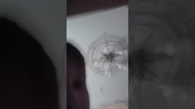сава