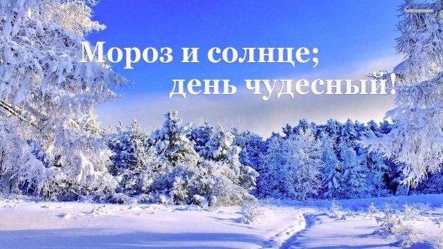 🌟 Александр Пушкин. Зимнее утро | Стихи наизусть