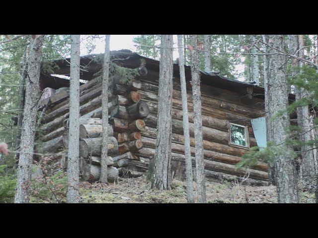 ДОБИРАЮСЬ ДО ИЗБЫ. ЗИМОВЕЙНЫЕ ДЕЛА И ТАЁЖНАЯ БЫТОВУХА. ОХОТА В НОВЫХ МЕСТАХ. ПОТЕРЯЛСЯ В НОЧИ!