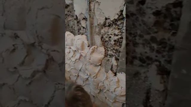 Штукатурка стен. Нанесение толстого слоя штукатурки Unis теплон при помощи шпателя