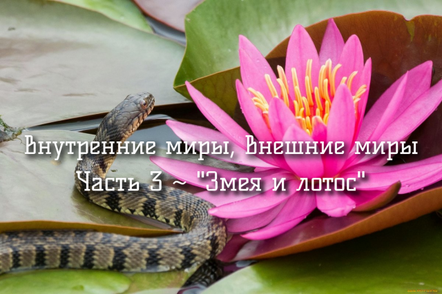 Внутренние миры, внешние миры. Часть 3 - "Змея и лотос".