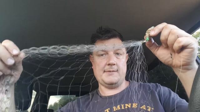 Про китайскую кормушку с сеткой