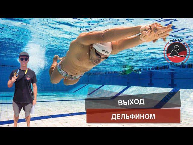 Как выполнять и развивать выход дельфином в плавании.