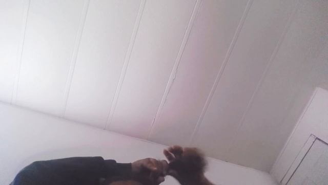 How to do Sailor Moon hairstyle WITHOUT having long hair or hair extensions