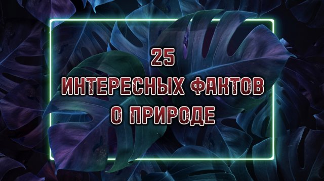 25 интересных фактов о природе