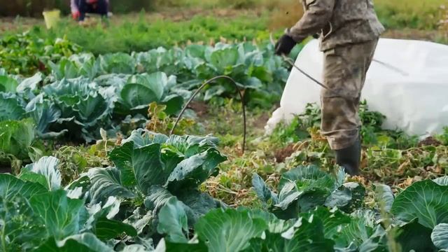 ЖИЗНЬ В ГЛУХОЙ УРАЛЬСКОЙ ДЕРЕВНЕ _ БЫТ БЕЗ ЦИВИЛИЗАЦИИ _ КАКИЕ ЗАПАСЫ В ПОГРЕБЕ