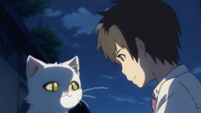 Детская Сказка как Мальчик Костя и Кот мурзик клад нашли