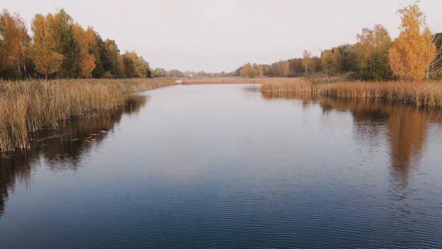 Когда начнётся осенний жор щуки? Как и на что ловить щуку в осенний жор?