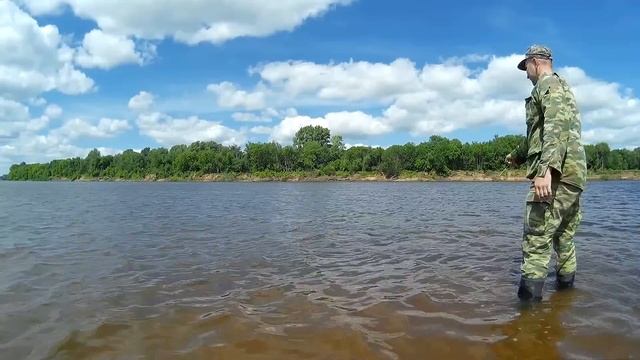 Чехонь ловля на резинку (резинка видео)