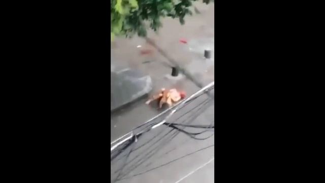 ЖЕСТЬ!!! НАПАДЕНИЯ СОБАК НА ЧЕЛОВЕКА!!! СЛАБОНЕРВНЫМ НЕ СМОТРЕТЬ!!!