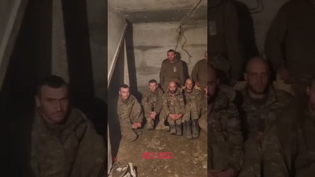 Кадры взятых в плен украинских военнослужащих пытавшихся штурмовать Клещеевку.