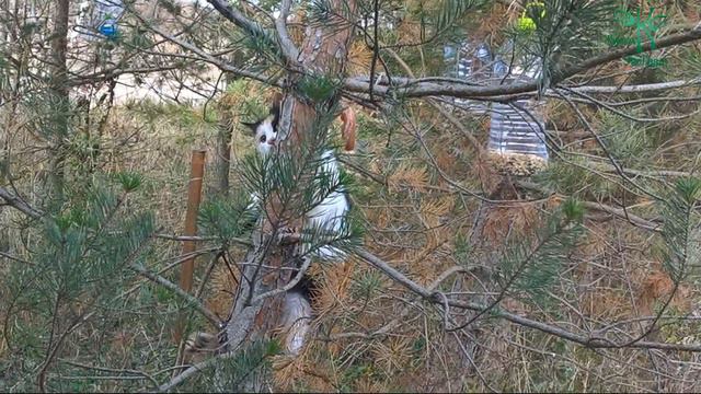 Сало или один день Содома