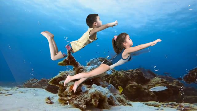 Морские обитатели . Подводный мир | для детей           ( выпуск №8)