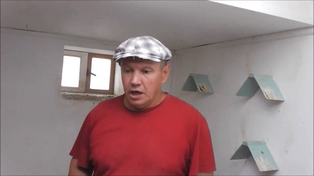 Пермские голуби Зуфара
