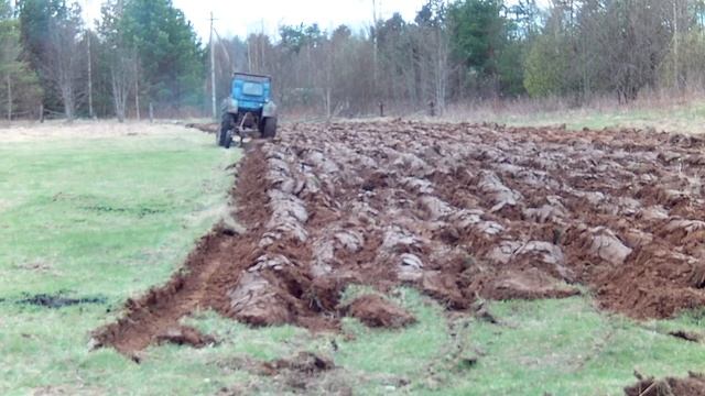 Пашем целину Т-40 разными плугами..mp4