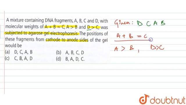 A mixture containing DNA fragments A,B,C and D, with molecular weights of `A + B = C,A gt B and D g
