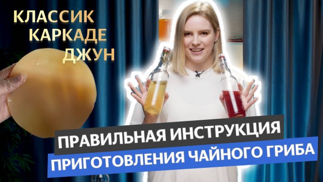 Как приготовить чайный гриб? Правильная инструкция приготовления комбучи