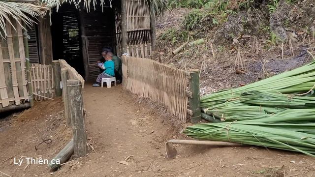 Journey to cut palm leaves in the forest to roof the bathroom - Life of a 17-Year-Old Single Mother
