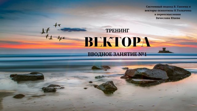Вводное занятие №1. Тренинг  Вектора. Проект Вячеслава Юнева.mp4