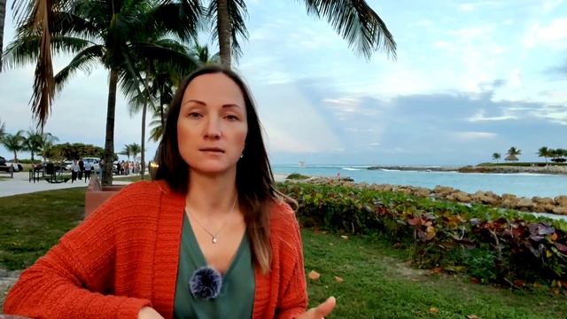 Самый южный штат США. Флорида. Вся правда. Жизнь в Америке. #сша #флорида