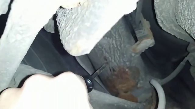 Год спустя после обработки пушсалом. Не обрабатывай пока не посмотрел.