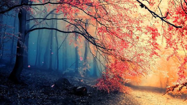 Сказочный Магический Лес | Magic Forest | Cherry Tries | Fantasy Landscape - Живые Обои