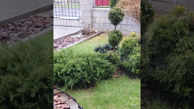 Ланшафтные композиции / Landscape design