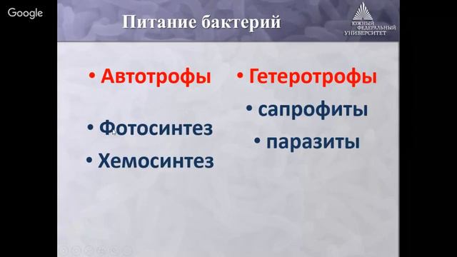 Бактерии_ питание, размножение и использование в практике