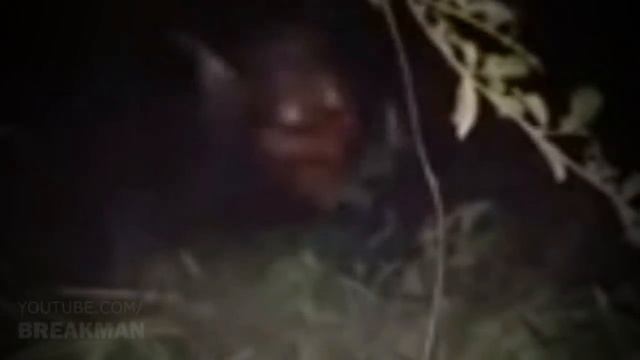 4 видеоролика, которые не могут объяснить скептики