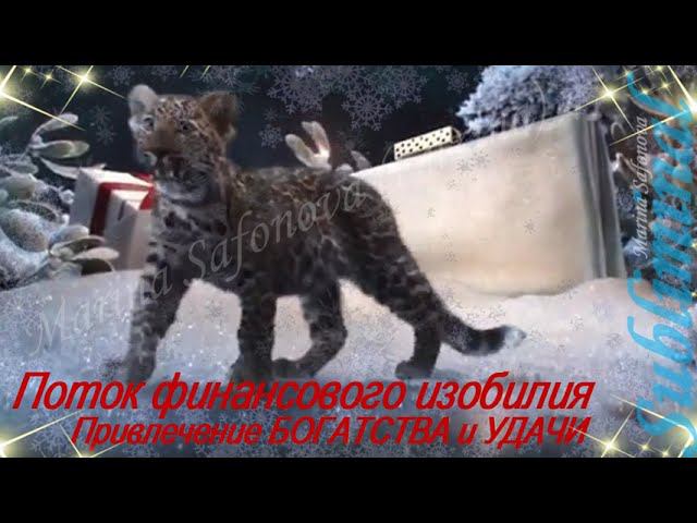 ⚠️ САБЛИМИНАЛ НА ДЕНЬГИ/ПОДАРКИ ОТ ВСЕЛЕННОЙ/ПОТОК ФИНАНСОВОГО ИЗОБИЛИЯ/ПРИВЛЕЧЕНИЕ БОГАТСТВА/УДАЧИ