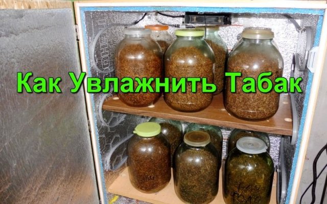 Простые способы увлажнения Табака.