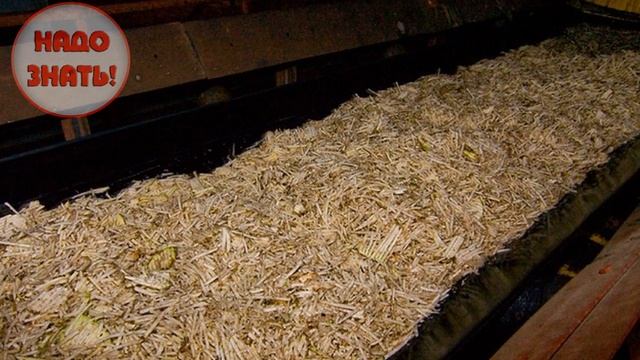 Как и из чего делают сахар?