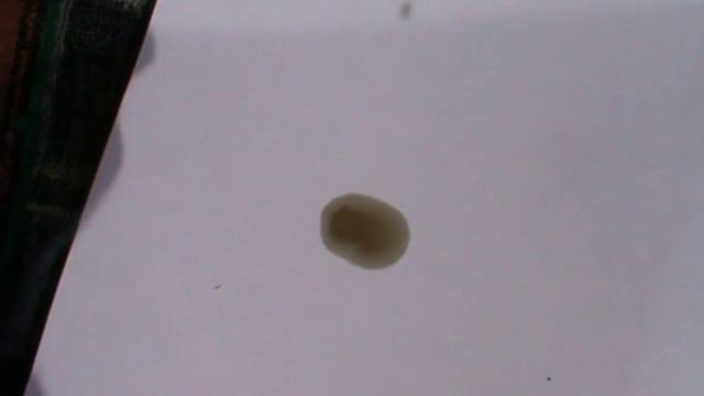 Капельный тест моторного масла