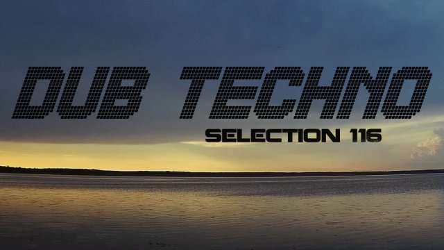 DUB TECHNO || Selection 116 || Lake View Dubs - даб-техно сборник