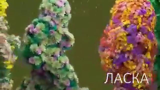 Они идут к Вам Любовь, Счастье, Здоровье, Богатство