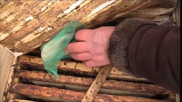 ПОДКОРМКА ПЧЁЛ КАНДИ