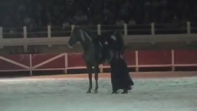 video_1205444612605.mp4