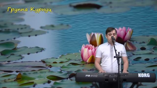 А у нас на озере лилии цветут