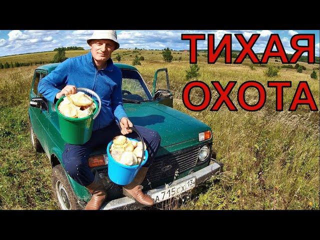 По грибным местам Мордовии..