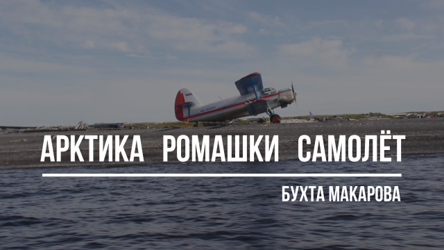 Арктика. Ромашки. Самолёт.