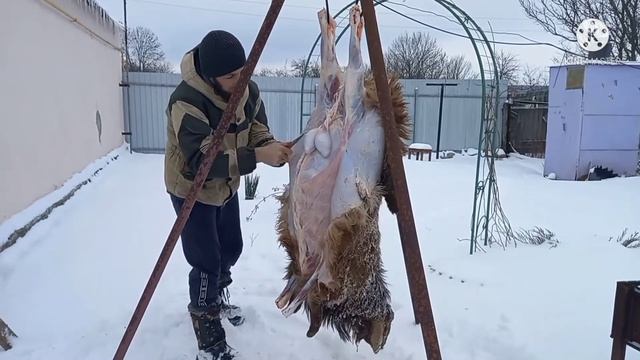 Разделка барана